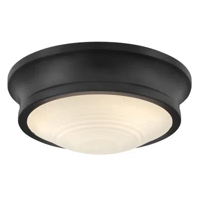 Hinkley Ellis Medium Flush Mount In Black