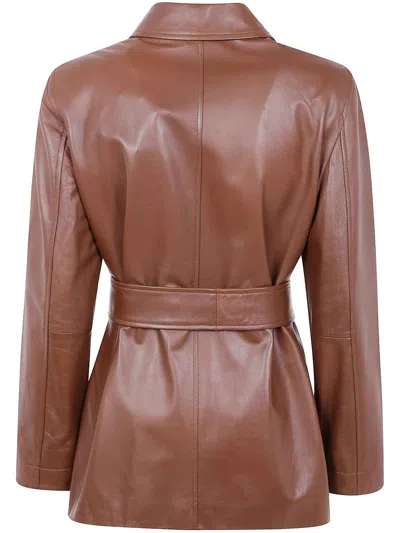 Max Mara Studio Button-up Belted Jacket In Brown