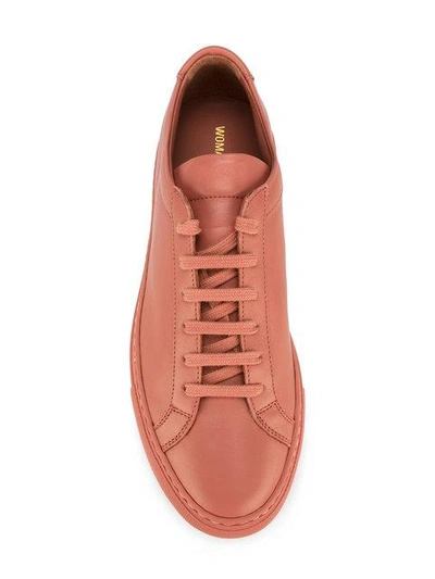 Shop Common Projects Classic Lace-up Sneakers In Pink