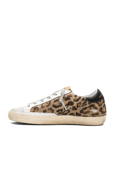 Golden Goose Superstar Distressed Leather And Calf Hair Sneakers In ...