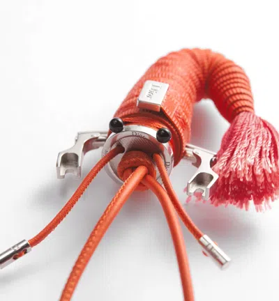 Dior Crawfish Bag Charm In Orange