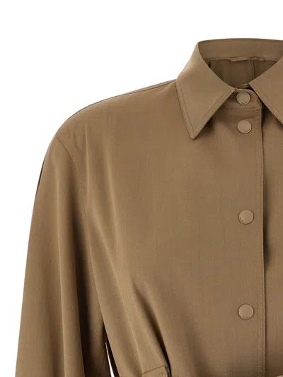 Max Mara Beige Regular Solid Shirt In Brown