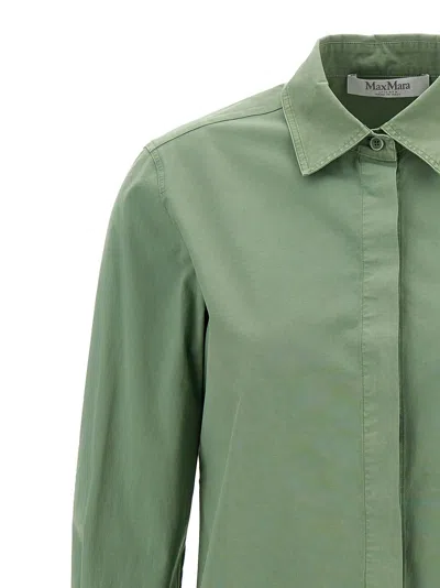 Max Mara French Collared Shirt With Back Yoke And Pleat In Bicolor