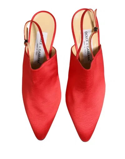 Dolce & Gabbana Suede Slingback Slingback Heel In Multi