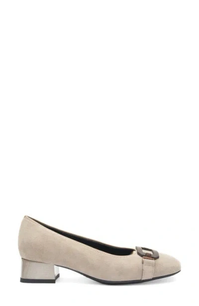 Ara Glacier Pump In Neutral