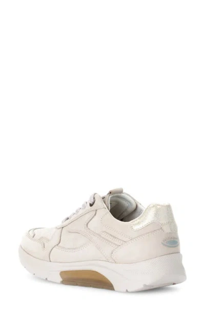 Gabor 66.925 Sneaker In Neutral