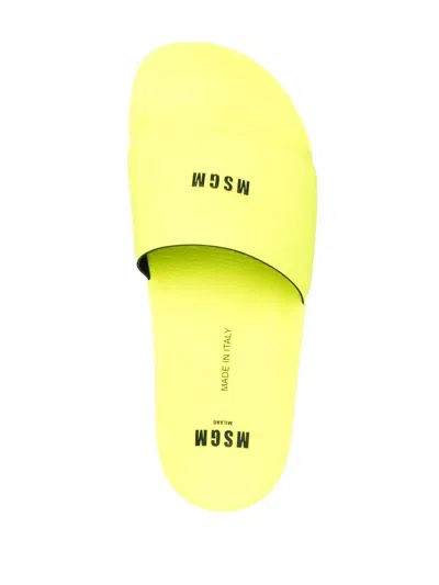 Msgm Logo-print Sliders In Yellow