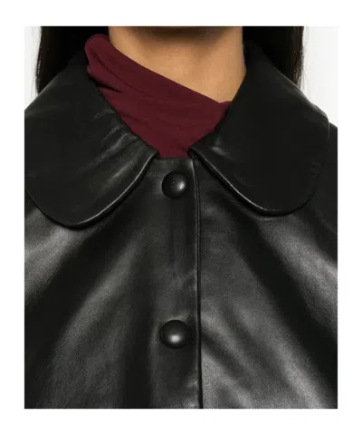 Bash Mylos Leather Jacket In Black