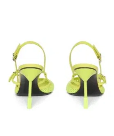 Msgm Round-toe Strap Pumps In Multi