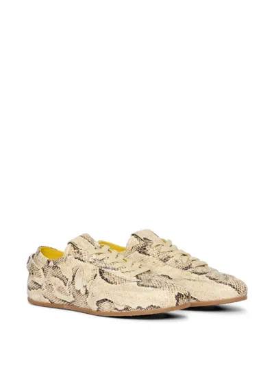 Msgm Snakeskin Lace-up Sneakers In Neutral