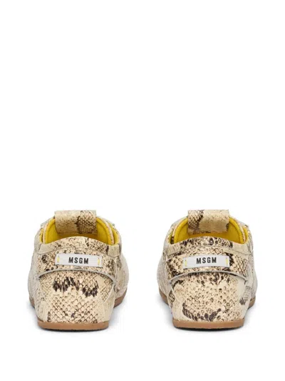 Msgm Snakeskin Lace-up Sneakers In Neutral