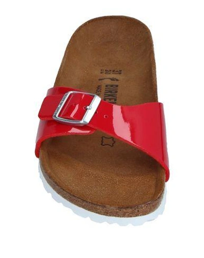 Shop Birkenstock Sandals In Red