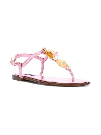 Shop Dolce & Gabbana Golden Shell Sandals In Pink