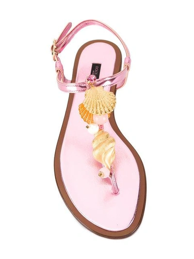 Shop Dolce & Gabbana Golden Shell Sandals In Pink