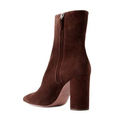 Paris Texas Suede Ankle Boots In Multi