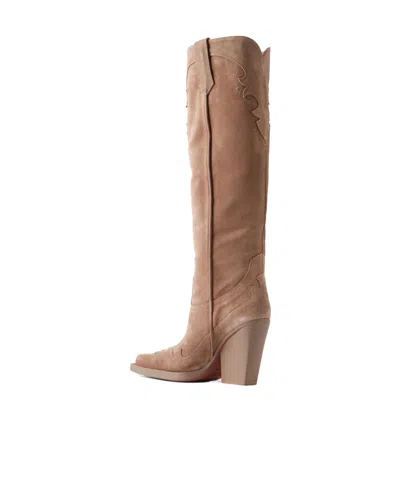 Paris Texas Solid Color Suede Knee-high Boots In Multi