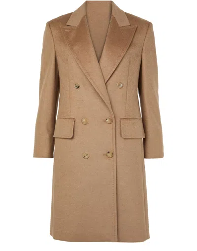 Max Mara Double-breasted Coat Featuring Pointed Lapels In Brown