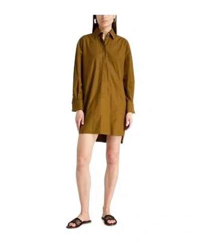 Max Mara Mini Dresses In Brown