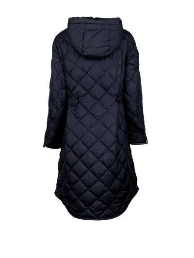 Woolrich Buttoned Hooded Coat In Blue