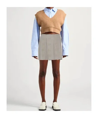 Sportmax Mini Skirts In Brown