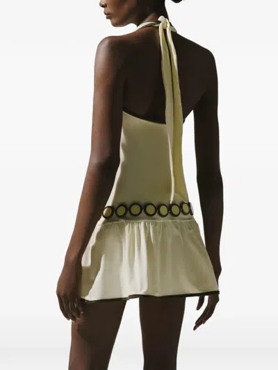 Baobab Francesca Resin-disc Belt In Multi