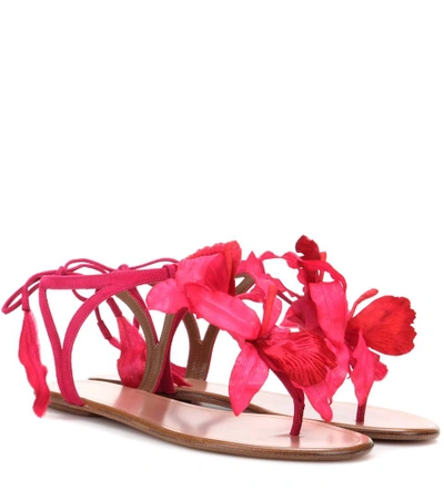 Aquazzura Flora Embellished Suede Sandals In Paradise Pink