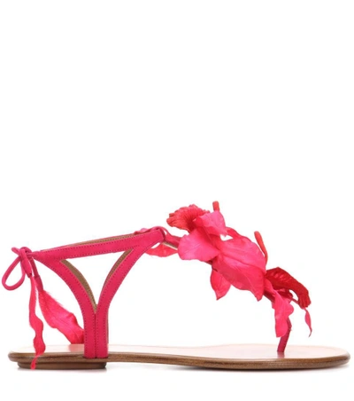Shop Aquazzura Flora Embellished Suede Sandals In Paradise Piek