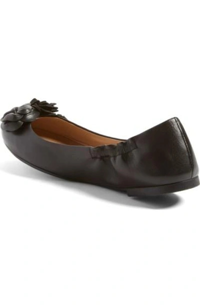 Shop Tory Burch 'blossom' Ballet Flat In Black Leather