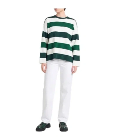 Max Mara Striped Knitted Sweater In Multi