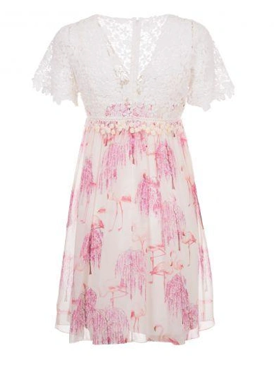 Shop Giamba Floral Lace Babydoll Dress In White Pink