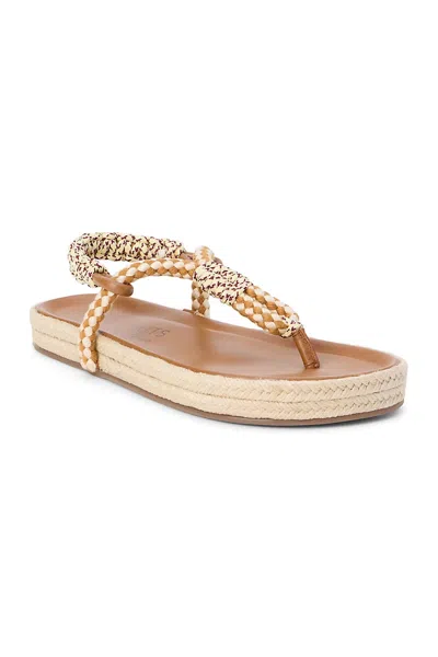 Matisse Celia Flip-flop Sandals In Multi