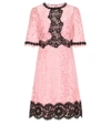 DOLCE & GABBANA Lace cotton-blend dress