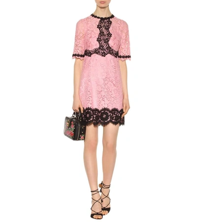 Shop Dolce & Gabbana Lace Cotton-blend Dress In Mistyrose