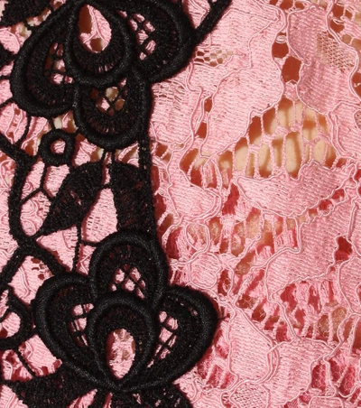 Shop Dolce & Gabbana Lace Cotton-blend Dress In Mistyrose