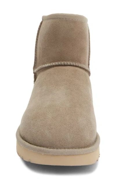 Ugg ®  Classic Mini Ii Genuine Shearling Lined Boot In Cbblg