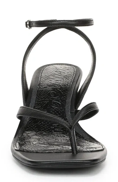 Sam Edelman Pax Ankle Strap Sandal In Black