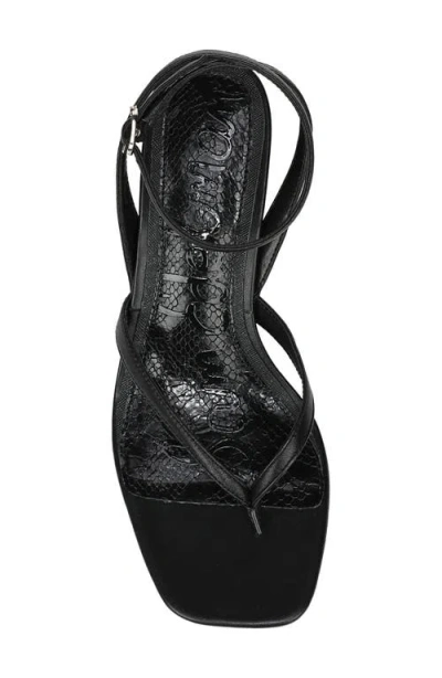 Sam Edelman Pax Ankle Strap Sandal In Black