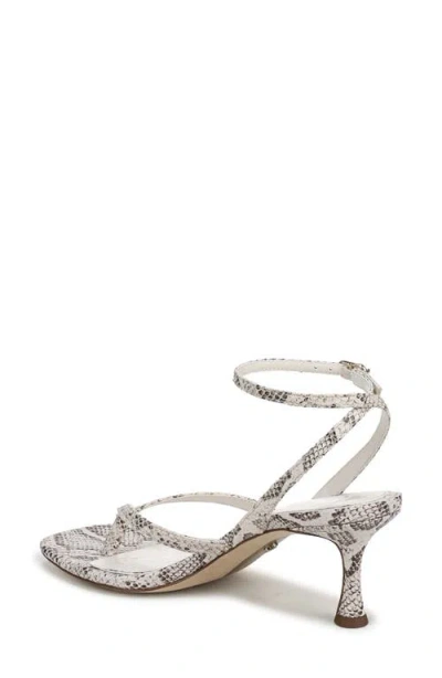 Sam Edelman Pax Ankle Strap Sandal In Ivory