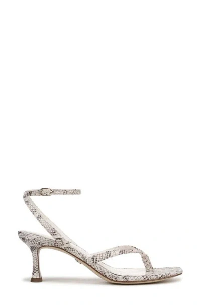 Sam Edelman Pax Ankle Strap Sandal In Ivory