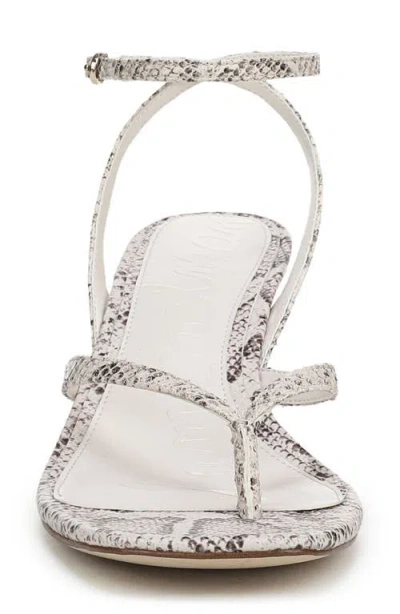 Sam Edelman Pax Ankle Strap Sandal In Ivory