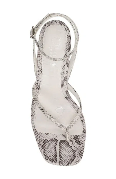 Sam Edelman Pax Ankle Strap Sandal In Ivory