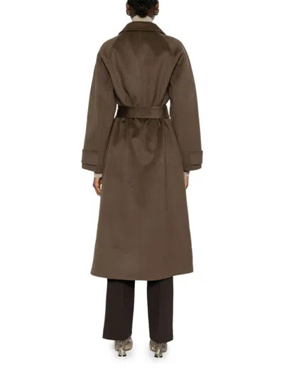 The Dynamis Studio In Brown