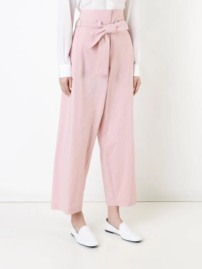 Shop Erika Cavallini Tied High Waisted Trousers In Pink