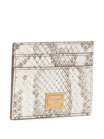 Dolce & Gabbana Python Card Holder In White