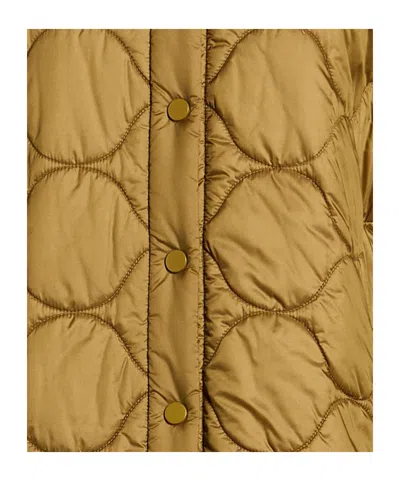 Max Mara Light And Warm Cotton-padded Jacket In Multi