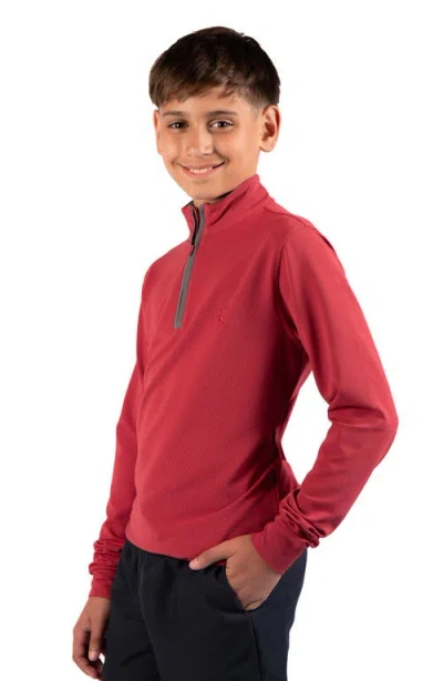 Tailorbyrd Kids' Micro Grid Textured Pullover In Red