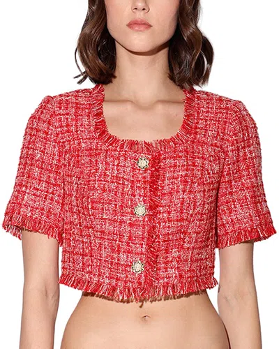 Walter Baker Rita Short Sleeve Cropped Tweed Top In Red