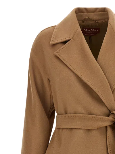 Max Mara Dravenna Belted Wool Coat In Beige