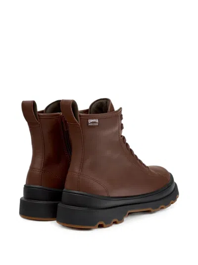 Camper Brutus+ In Brown