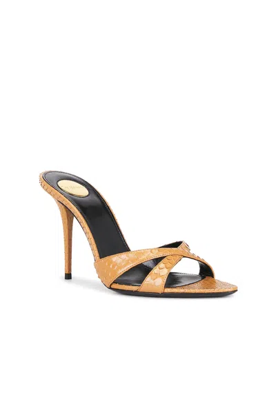 Saint Laurent Gippy Python Mule Sandal In Pitty Brandy